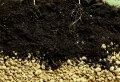 Comment améliorer la qualité du sol du potager pendant l’hiver ? 7 astuces pour régénérer la terre naturellement