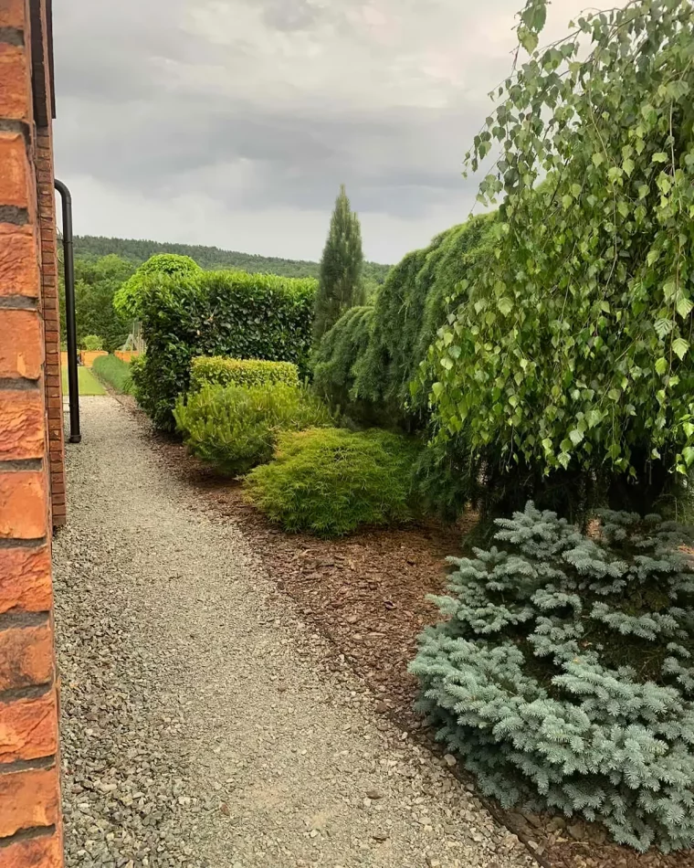 quels arbres et arbustes choisir pour un petit jardin