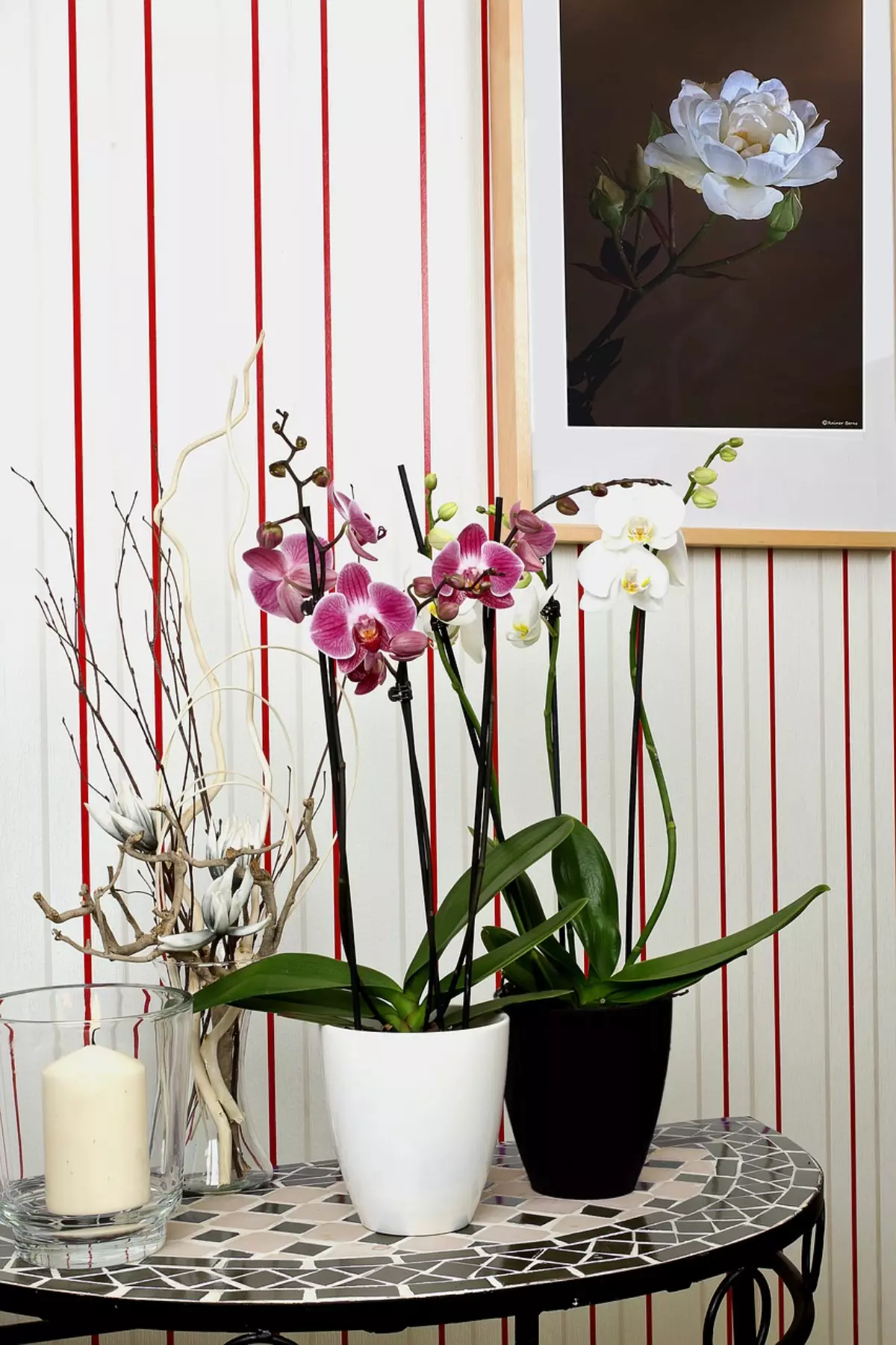 une orchidee mauve dans un pot blanc et une orchidee blanche dans un pot noir sur une table avec d autres decorations devant un tableau de fleur