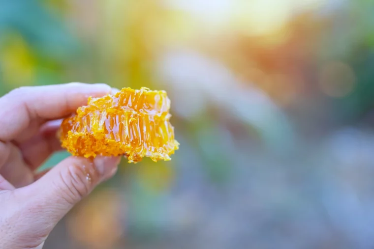 utiliser du miel au lieu du sucre dans les confitures