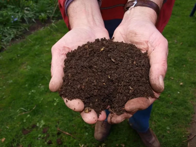 vue de dessus de deux mains remplies de compost bien forme sur fond de pelouse verte