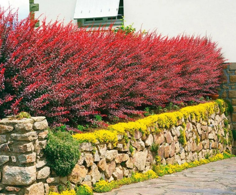 comment boucher la vue du voisin barbaris