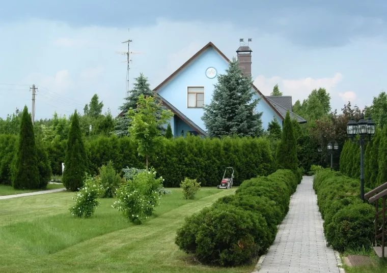 Écran végétal toute l’année plantes pour boucher la vue du voisin haies treshautes