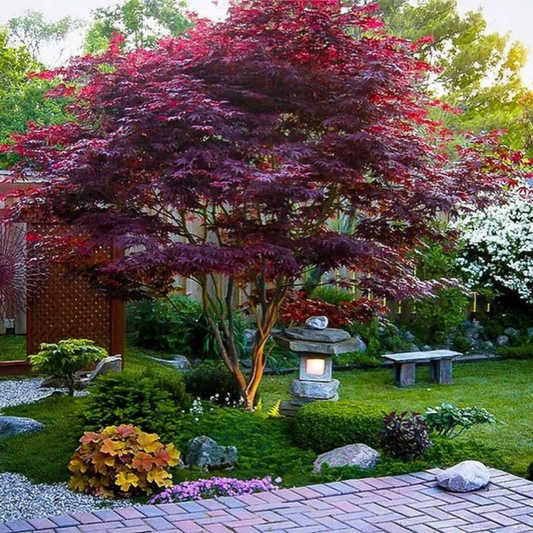 quel arbre en milieu urbain erable japonais