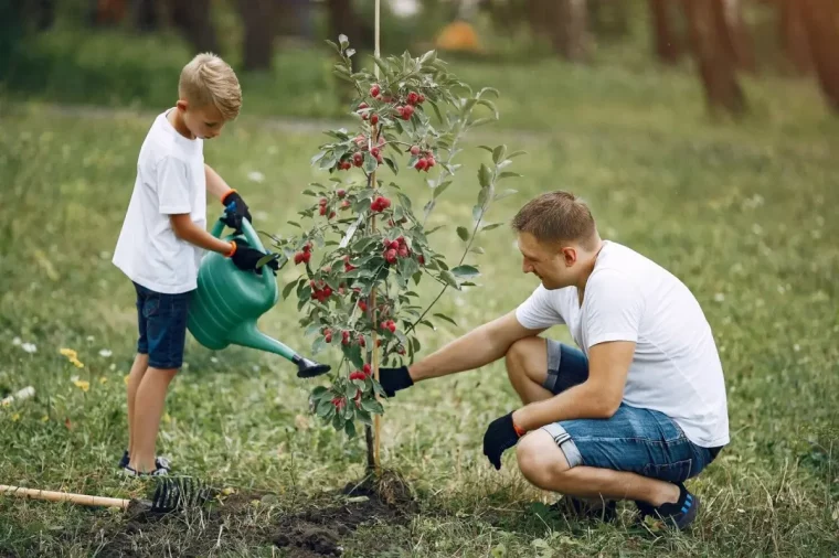 arrosage fruitier arbre famille garcon pere outils de jardin