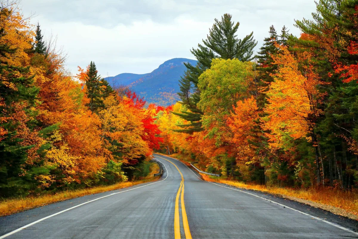 belle route en plein automne arbres colores