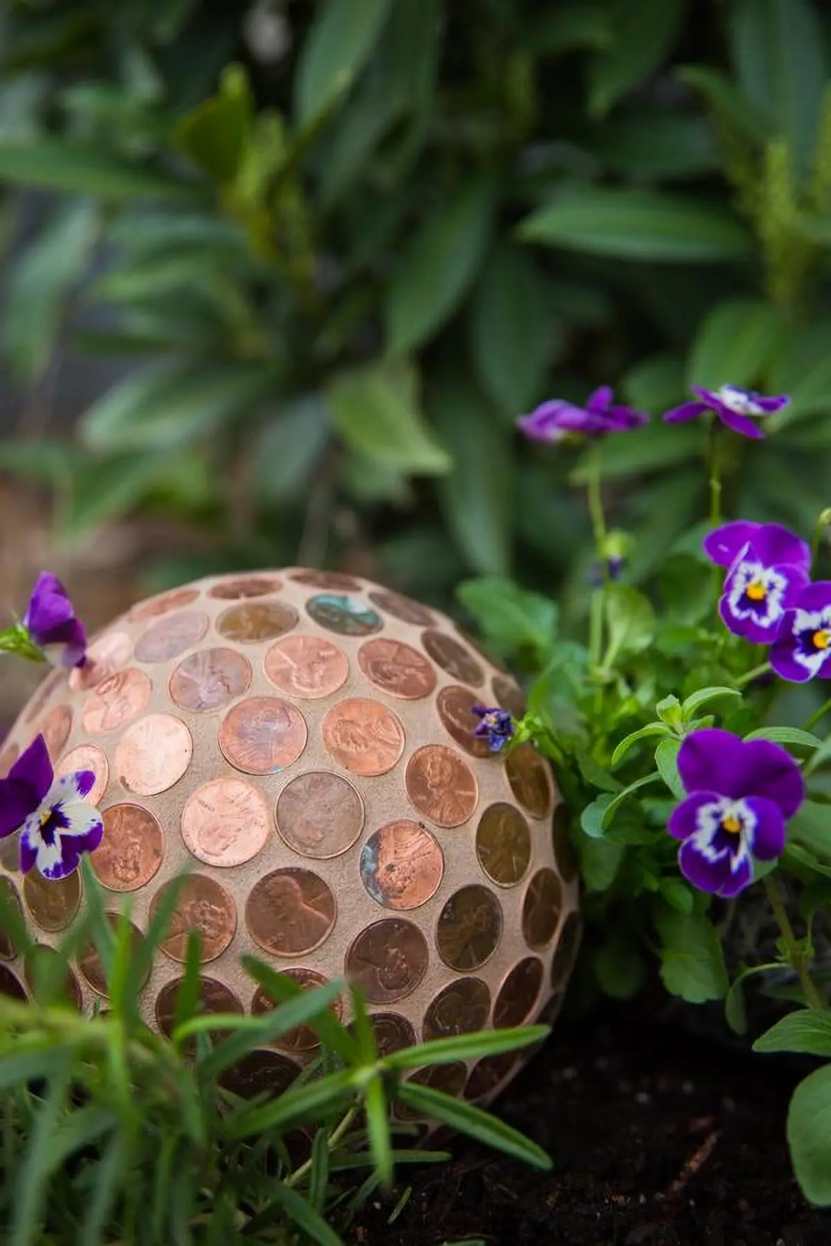 boule diy repulsive limaces sou cuivre monnaie violas jardin piece de monnaie dans le sol des plantes
