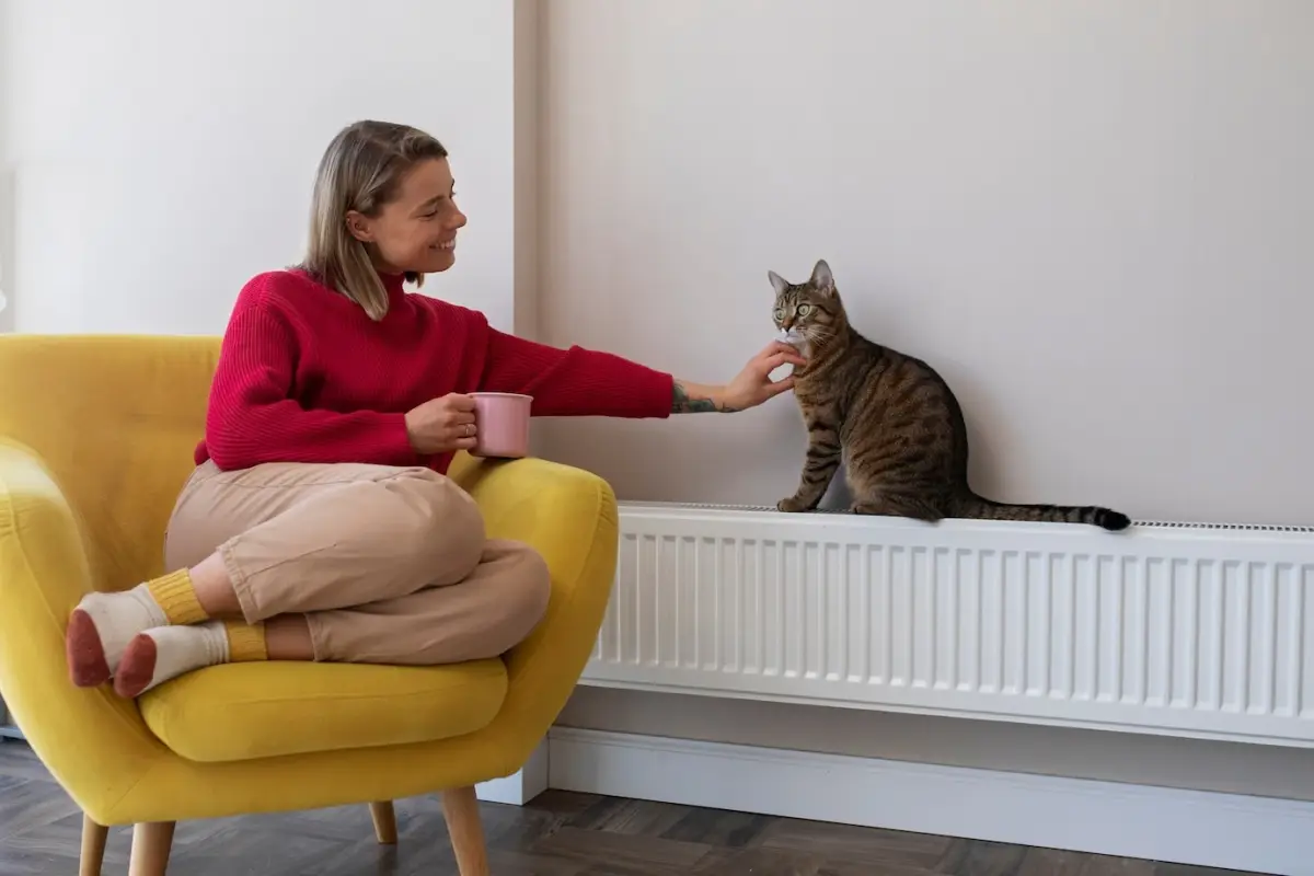 chat radiateur fauteuil velours jaune femme boisson chaude tasse