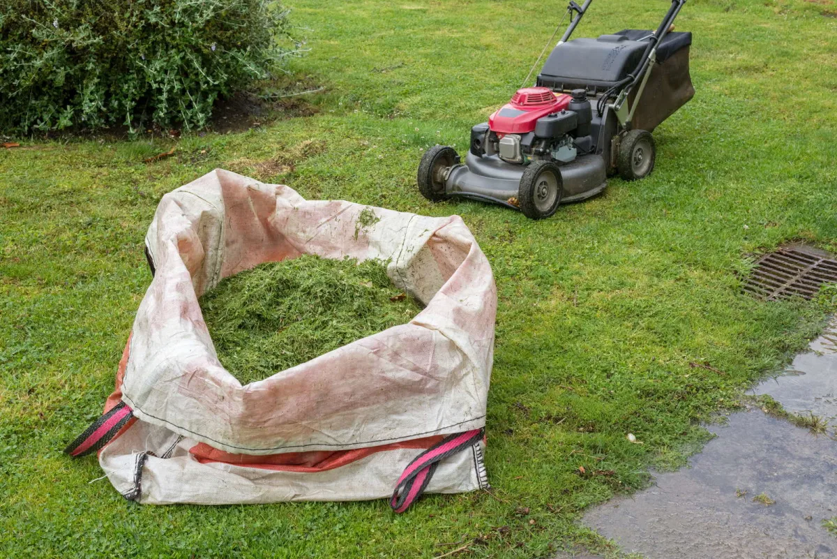 comment effectuer a derniere tonte de la pelouse