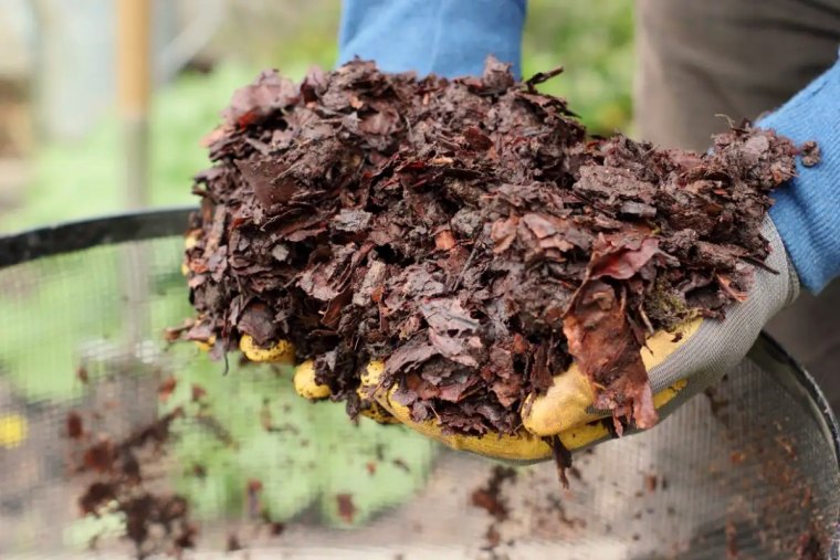 comment preparer du terreau de feuilles mortes en automne mains