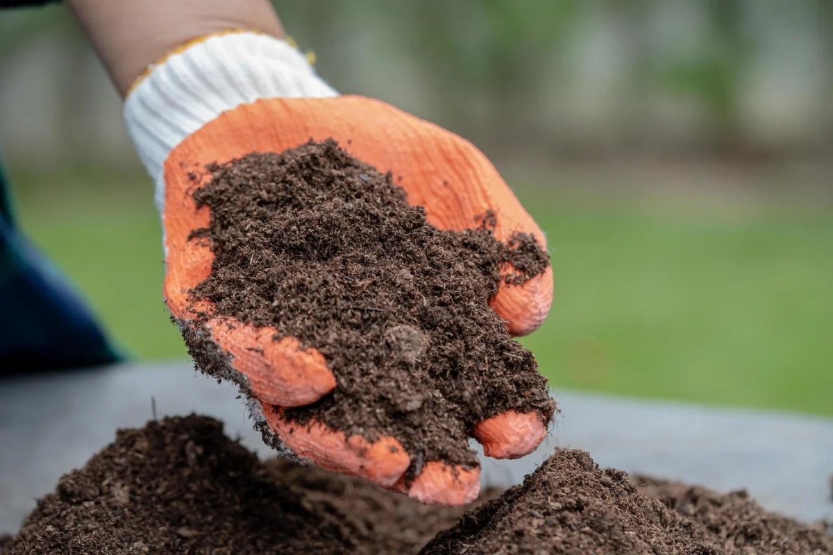 comment preparer le sol avant l hiver astuces