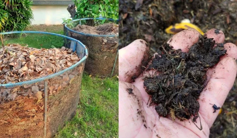 comment utiliser le terreau des feuilles dans le jardin pelouse verte