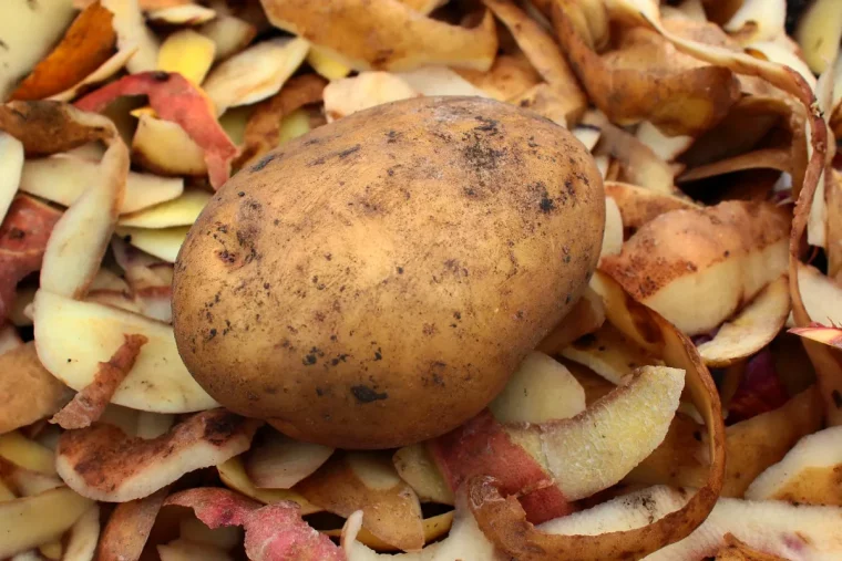 comment utiliser les epluchures de pomme de terre pour nettoyer