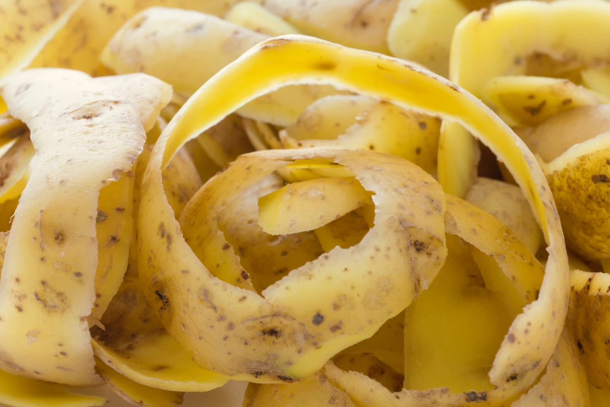 comment utiliser les epluchures de pommes de terre pour nettoyer