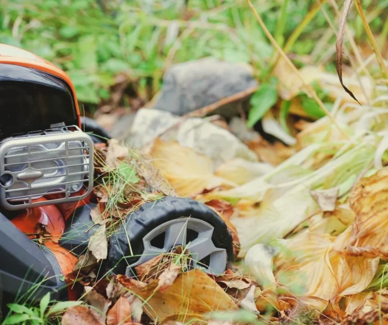 dechiqueter les feuilles mortes sut la pelouse pour meullere decomposition sur place