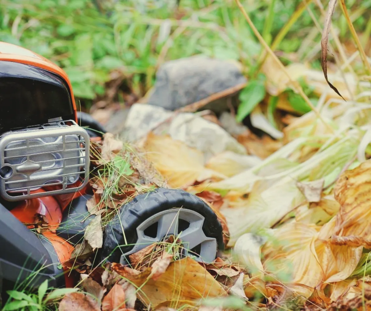 dechiqueter les feuilles mortes sut la pelouse pour meullere decomposition sur place