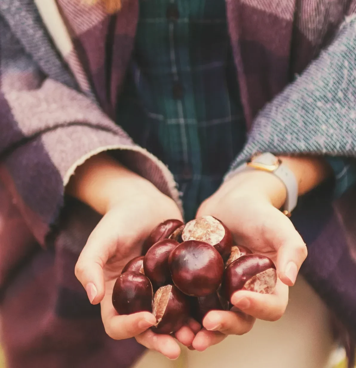 est ce que les marrons se mangent astuces maison manger des marrons