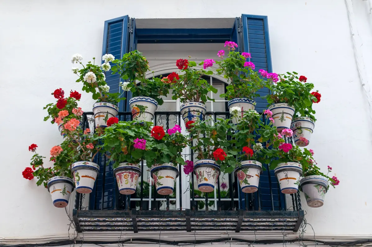fenetre balcon fleurs suspendues pots decores geraniums floraison