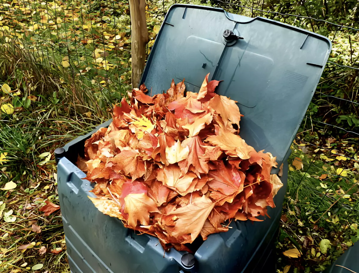 feuilles mortes dans un composteur en plastique