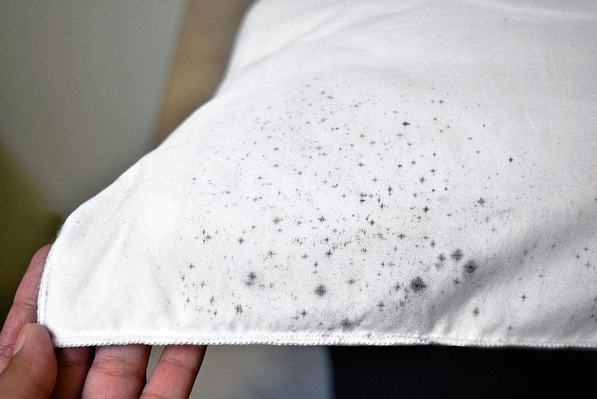 fréquence pour laver housse de couette, taies et draps quand on craint les punaises de lit taches sombres sur undrap