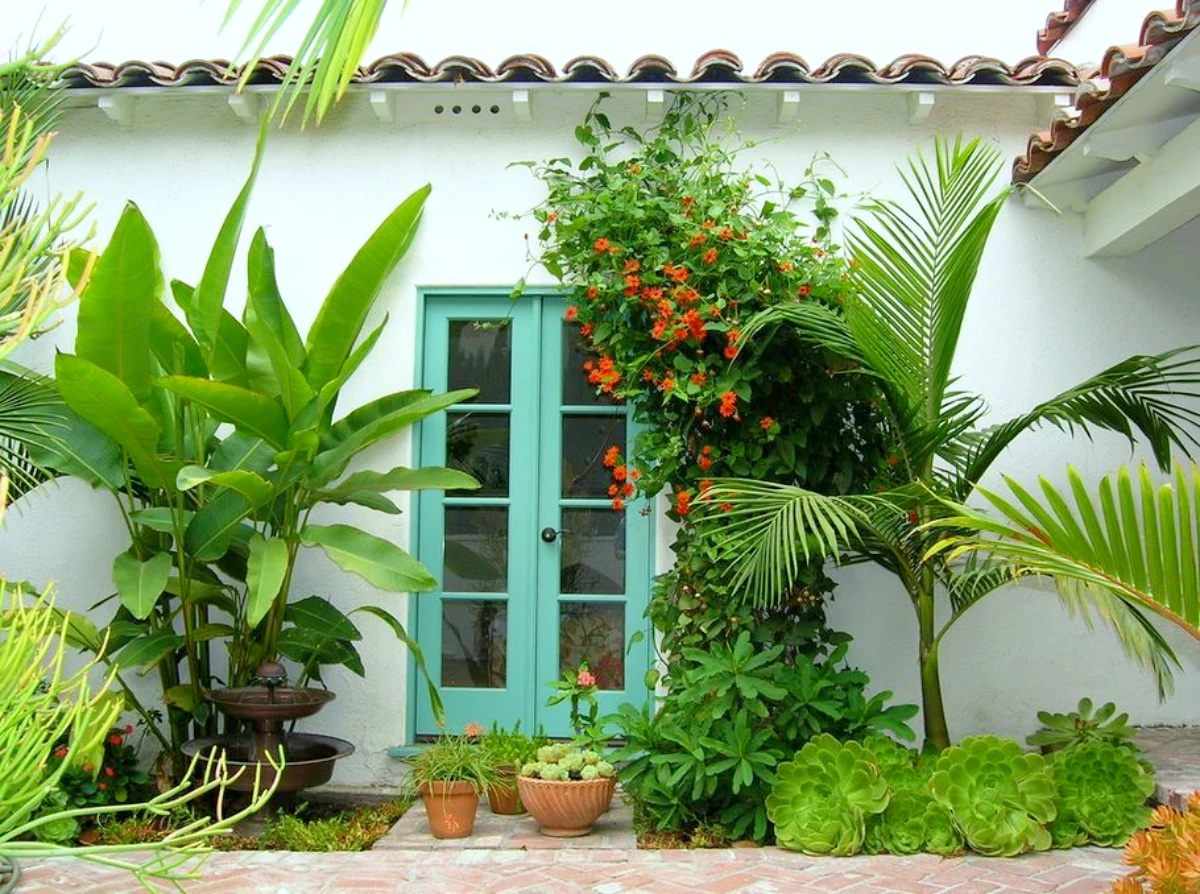 plantes tropicales et mediteraniennes hivernage porte verte mur blanc maison