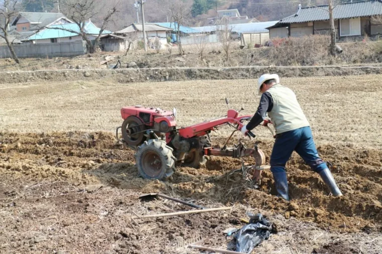 potager quand et pourquoi faut il retourner la terre en hiver meilleur acces motoculteur