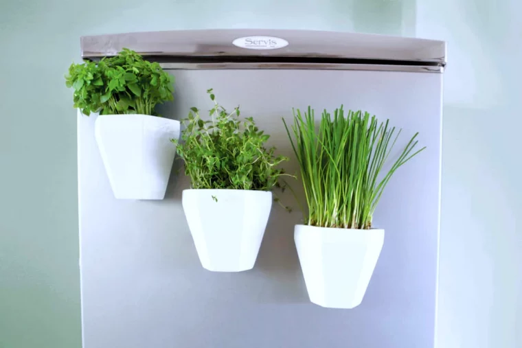 pots blanches de plantes aromatiques sur le frigo