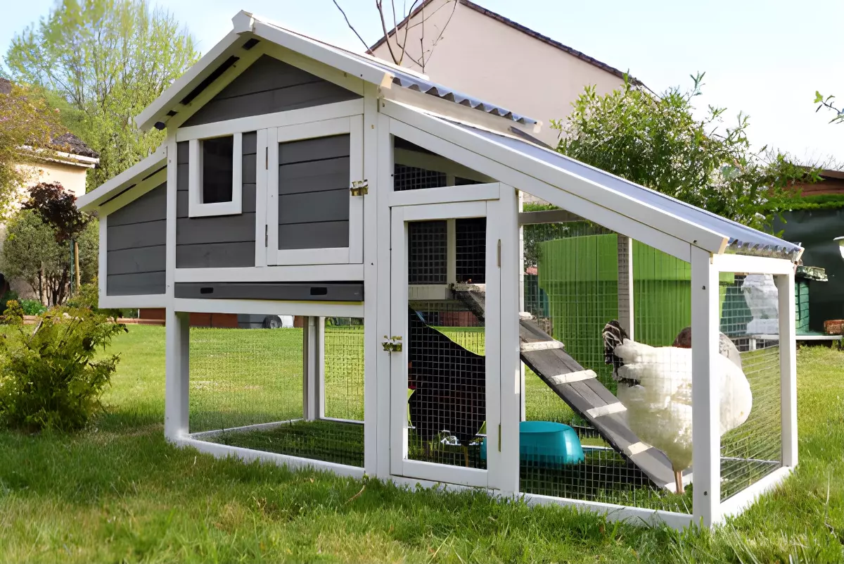 poulailler sous forme de petite maison de deux poules sur une pelouse verte