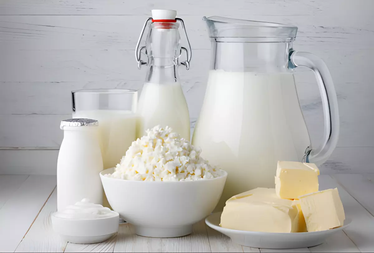 produits laitiers dans difféerents recipients beurre fromage crème yaourt