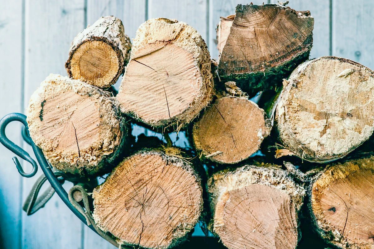 quel est le bois qui brule le moins vite chauffage naturel en hiver