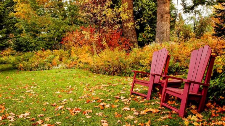 regenerer une pelouse pelouse feuilles mortes avec deuxchaises rouges