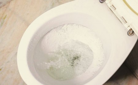 solution miracle pour déboucher les wc sans ventouse selles qui ne s évacuent pas des toilettes
