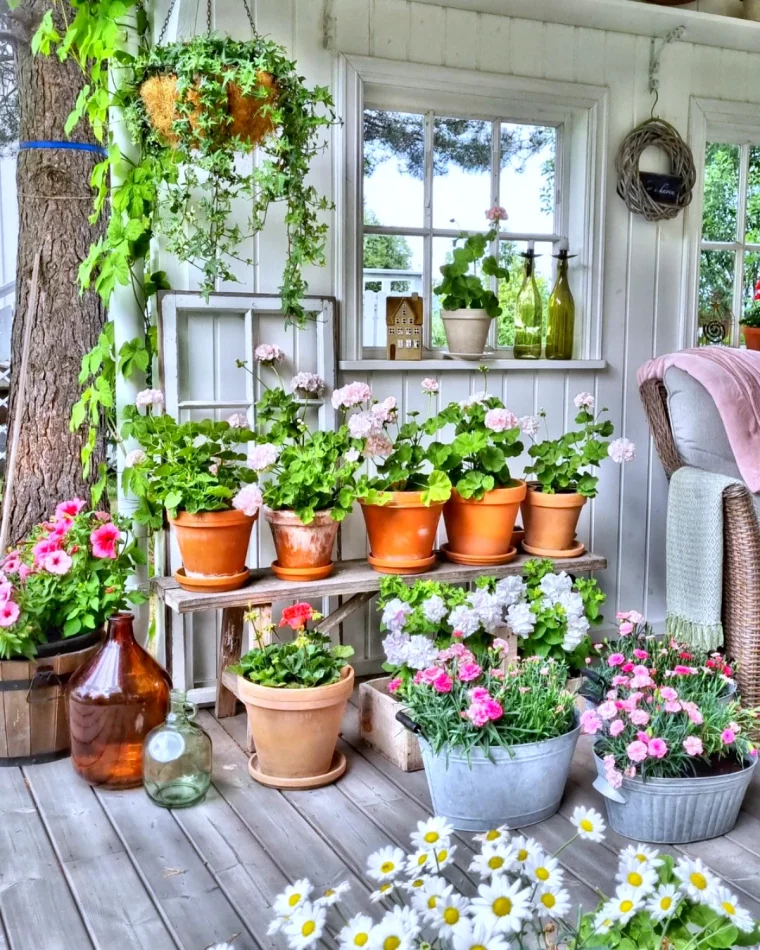 une jolie veranda pleine de fleurs a rentrer