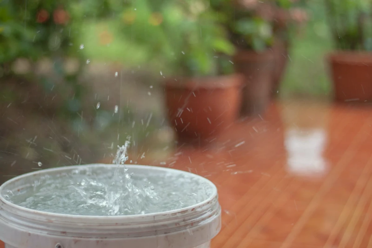 3 idees pour reutiliser l eau de pluie
