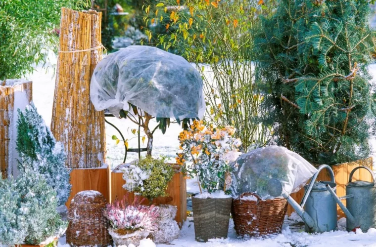 est ce que le voile d'hivernage protège du gel