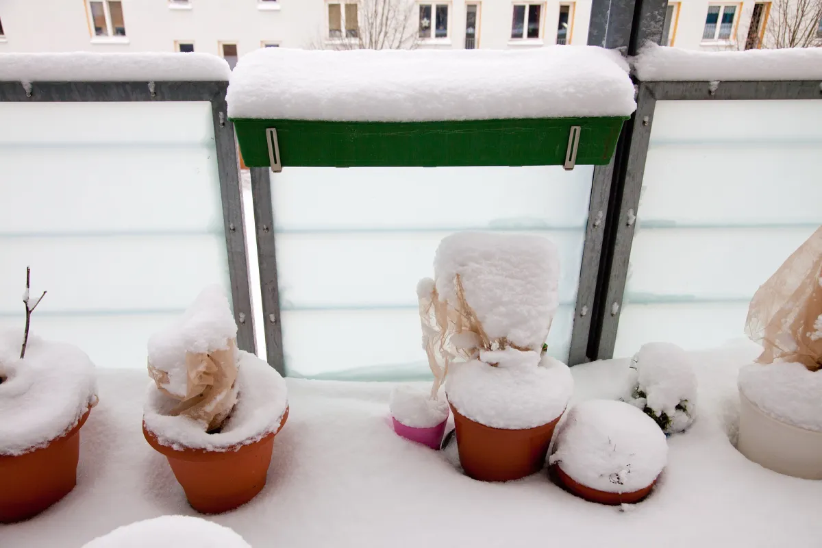 balcon hiver jardinier remplie de neige pots plastique emballage papier