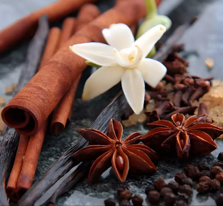 batonnets de cannelle avec une fleur blanche au milieu et plusieurs epices