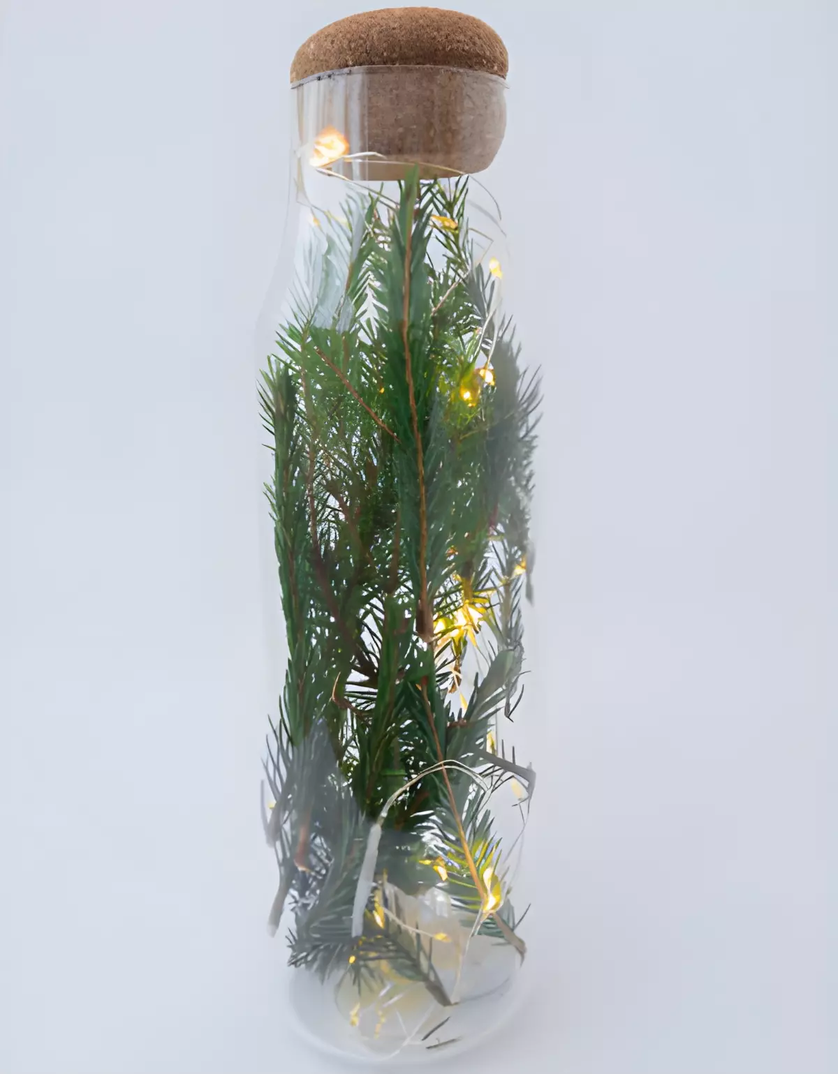 branche de sapin enferme dans une bouteille transparente avec des petites lumieres a l interieur