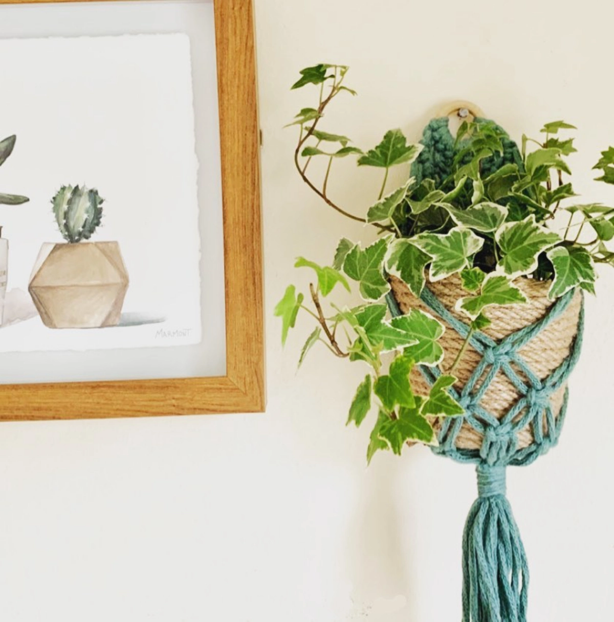 cadre photo bois dessin en couleurs cactus pot suspendu lierre macrame suspension