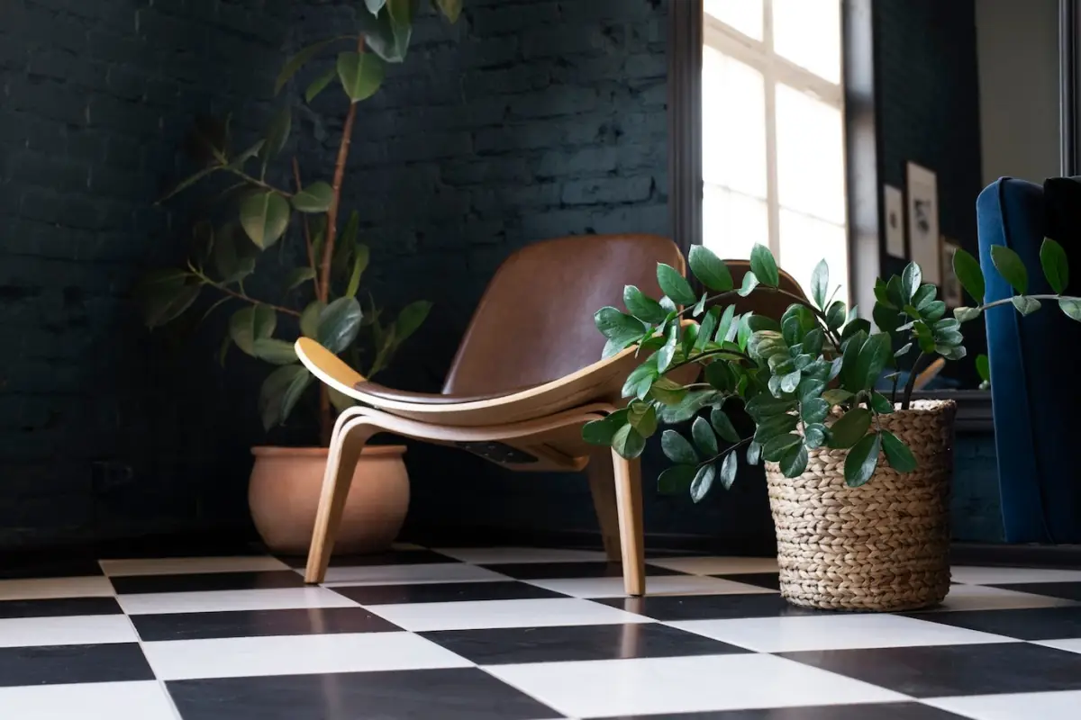 chaise bois briques carrelage blanc et noir pot terre cuite zz plante