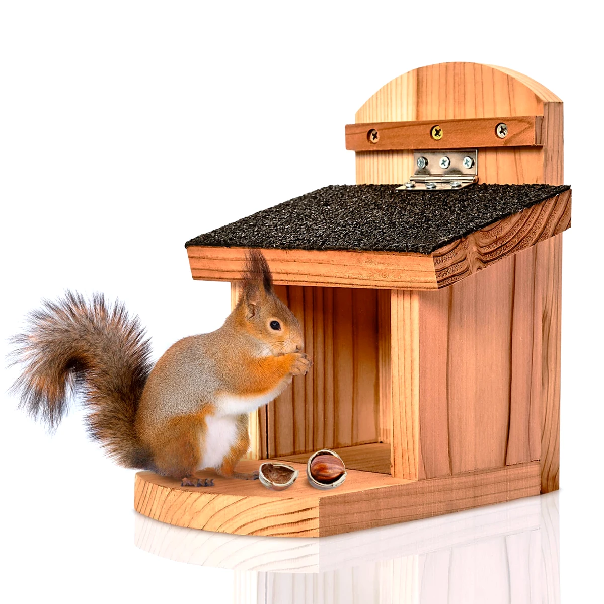 comment aider les ecureuils en hiver maison en bois