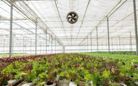 comment bien aerer une serre en hiver ventilateur toit culture salades