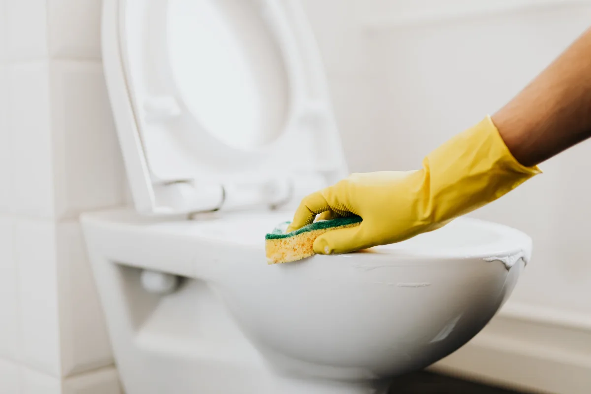 comment enlever l odeur d urine dans les toilettes