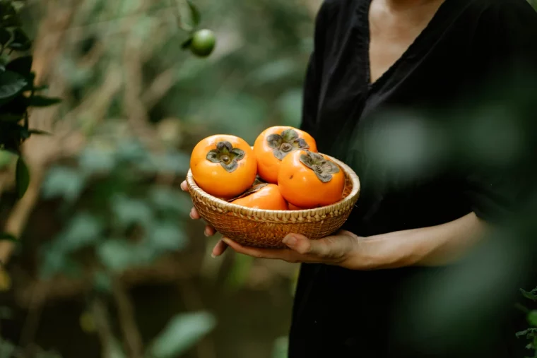 comment faire murir les kakis femme robe noire bol fruits oranges