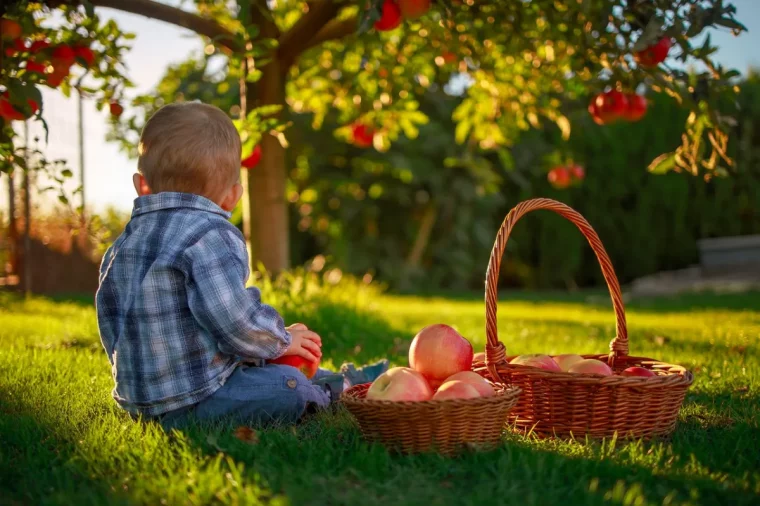 comment faire pour obtenir des recoltes genereuses