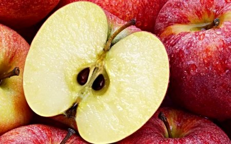comment faire pousser un pommier a partir d une pomme