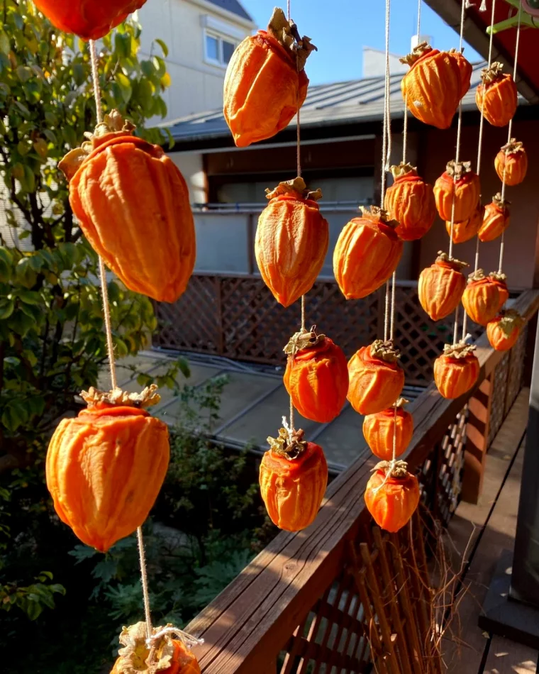 comment faire secher les kakis fruits oranges