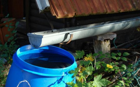 comment garder l eau de pluie propre bidon bleu gouttiere toit