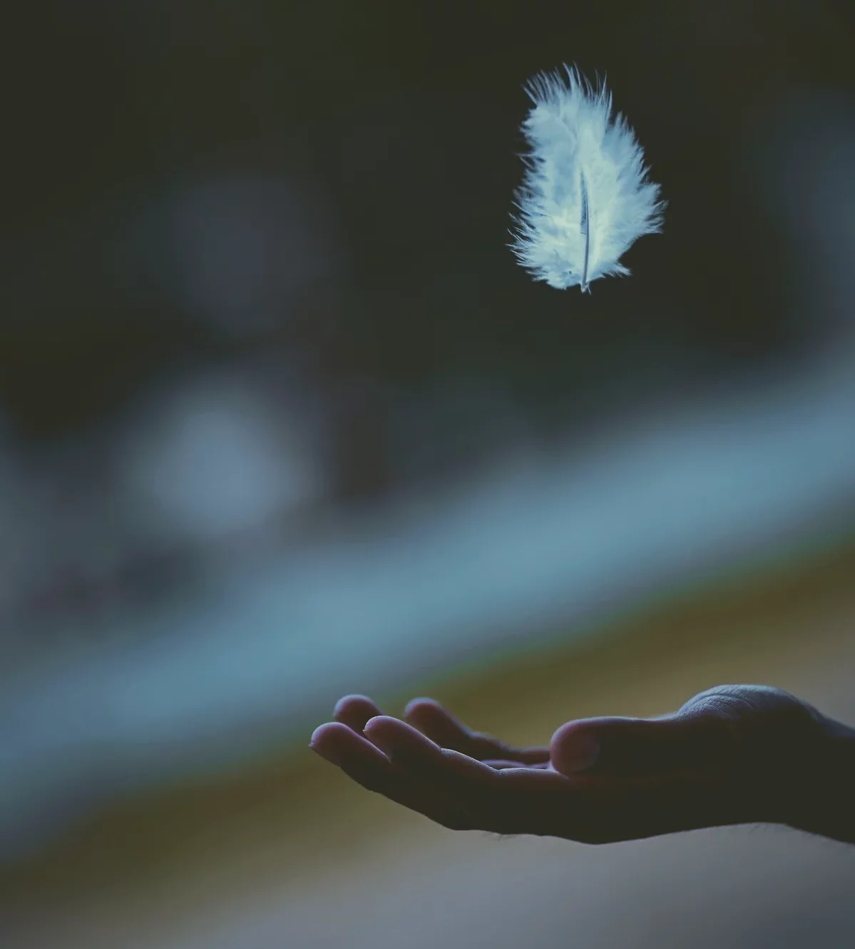 des plumes blanches comment repérer la résence d un ange dans notre vie