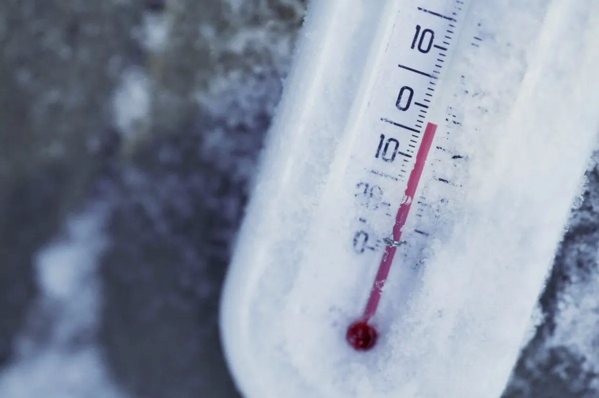 entretenir des géranium en hiver thermometre enneige moisns deuxdegres